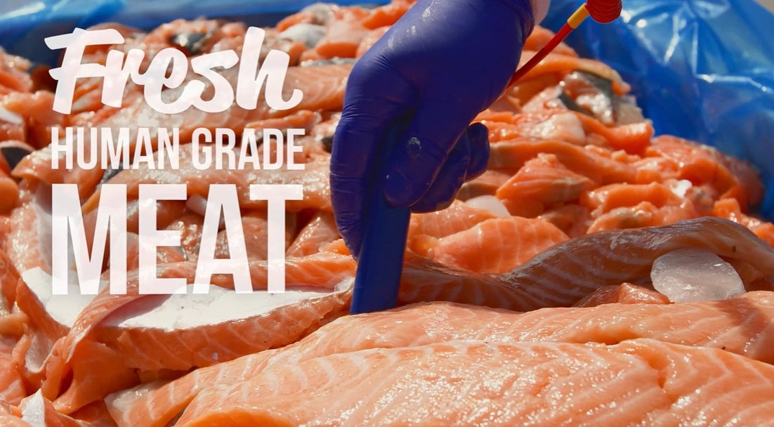 Meadow Farm - Italian Buffalo Super Blend Grain Free - Adult Working dog Food image 6