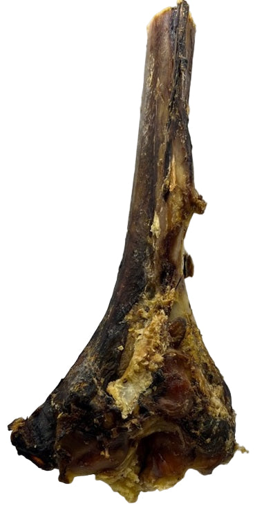 Ostrich Marrow Shank - XL image 0