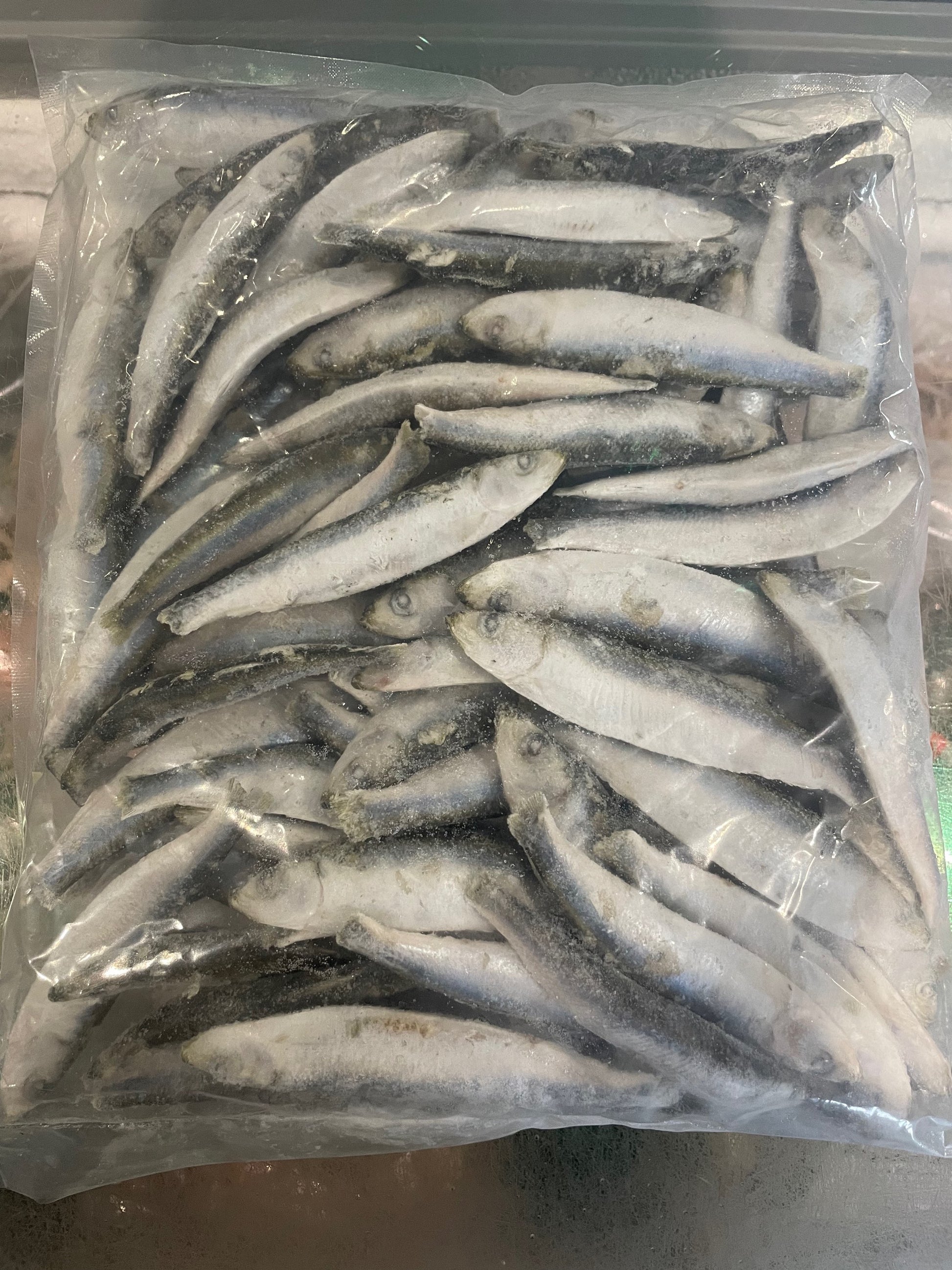 Frozen sprats fish - Raw – available from Woofingtons