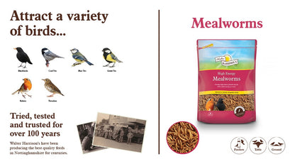 Harrisons High Energy Mealworms 500g – Dried Bird Treats for Garden Birds – product image 2 from Woofingtons