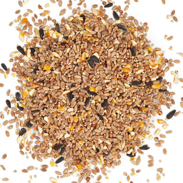 Harrisons Wild Bird Mix 2kg – Nutritious Garden Bird Seed – product image 2 from Woofingtons