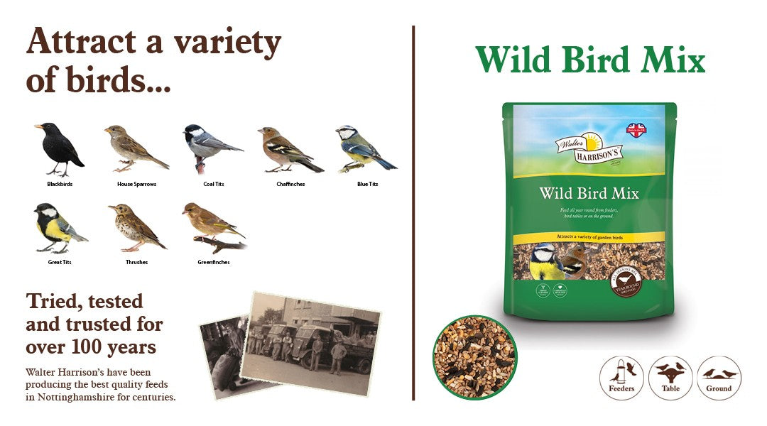 Harrisons Wild Bird Mix 2kg – Nutritious Garden Bird Seed – product image 3 from Woofingtons