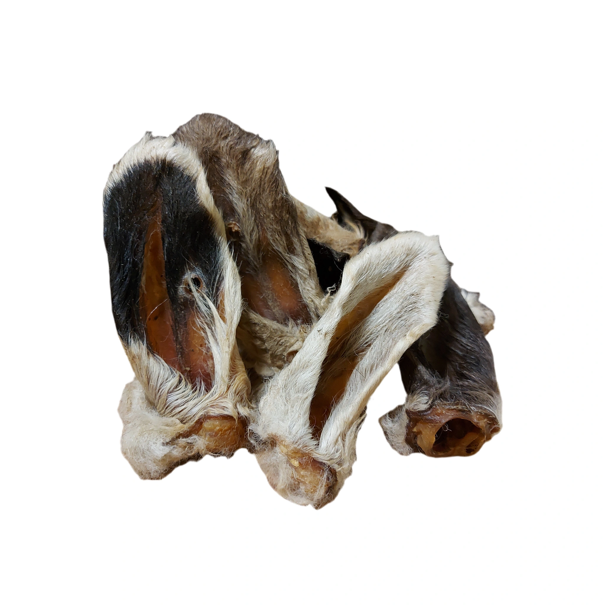 Lamb Ears with Hair – available from Woofingtons