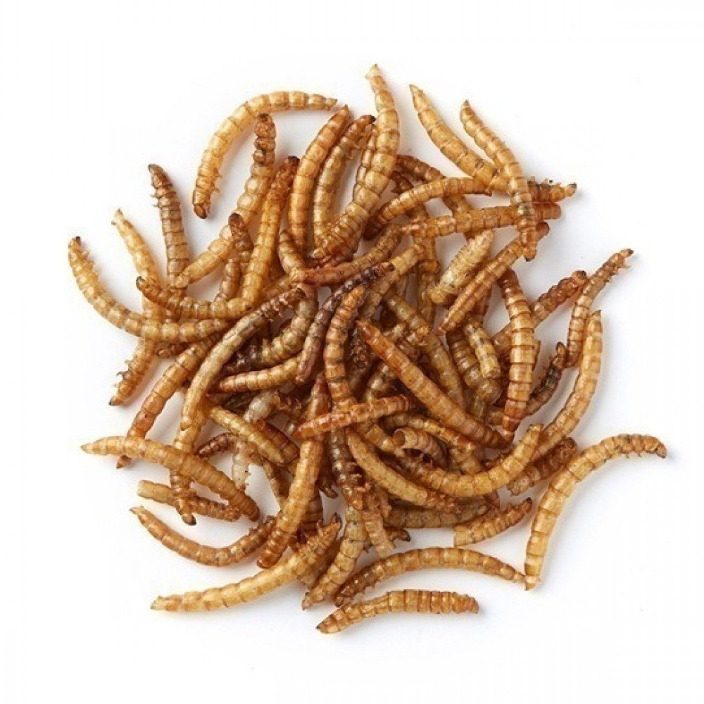 love wildlife Dried Mealworm 200g – available from Woofingtons