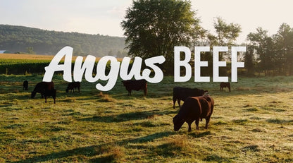 Meadow Farm - Angus Beef Super Blend Grain Free - Adult Dog Food – product image 5 from Woofingtons