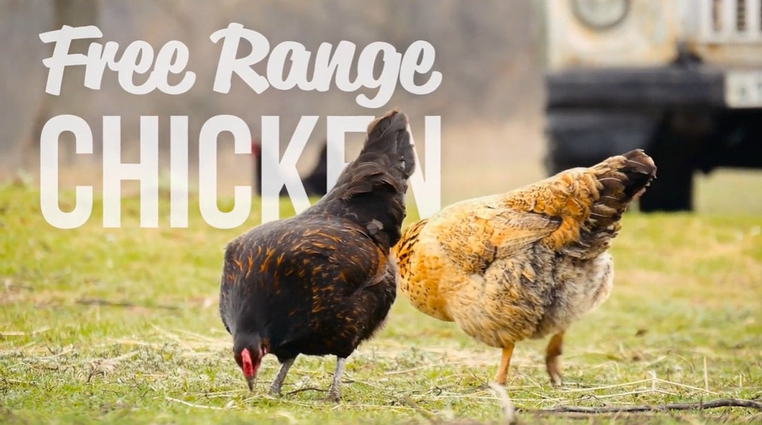 Meadow Farm - British Free Range Chicken Super Blend Grain Free - Adult Dog Food – product image 5 from Woofingtons