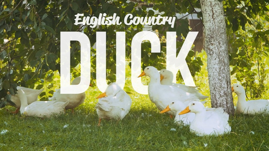 Meadow Farm - English Country Duck Super Blend Grain Free - Adult Dog Food – product image 5 from Woofingtons