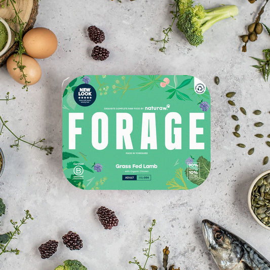 Naturaw Forage Raw Dog Food – Complete, Natural Nutrition for Dogs – available from Woofingtons