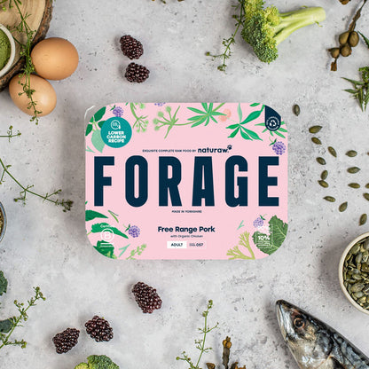 Naturaw Forage Raw Dog Food – Complete, Natural Nutrition for Dogs – product image 4 from Woofingtons