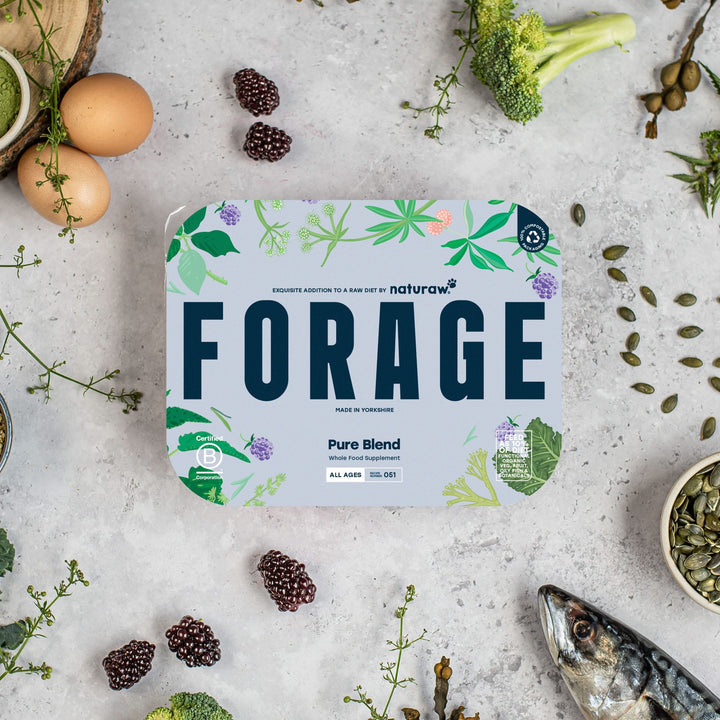 Naturaw Forage Raw Dog Food – Complete, Natural Nutrition for Dogs – product image 6 from Woofingtons
