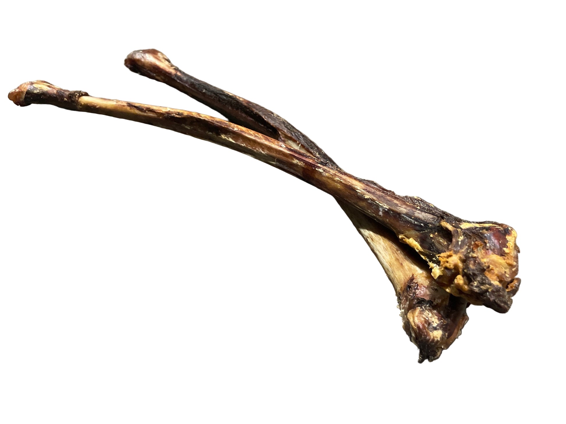 Ostrich wing bone – available from Woofingtons