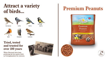 Harrisons Premier Peanuts 2kg – High Energy Bird Food for Garden Birds