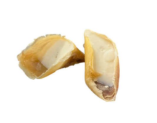 Hoof Filled With Sheep Fat