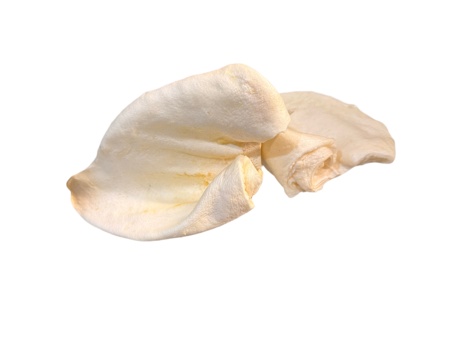 Puffed Pig Ear - Large – available from Woofingtons