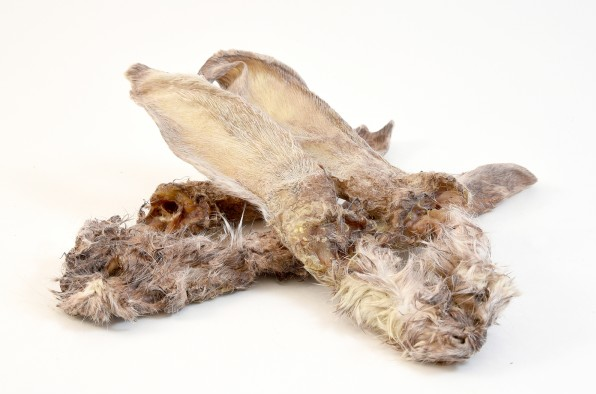 Rabbit Ears With Fur – available from Woofingtons