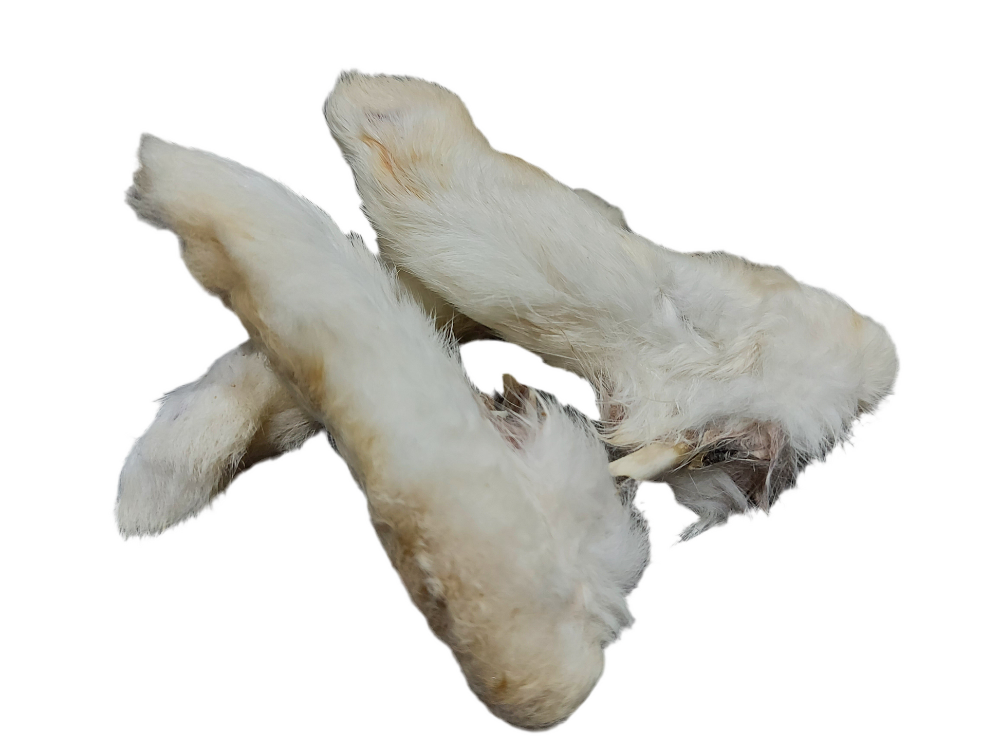 Rabbit Feet with Fur – available from Woofingtons
