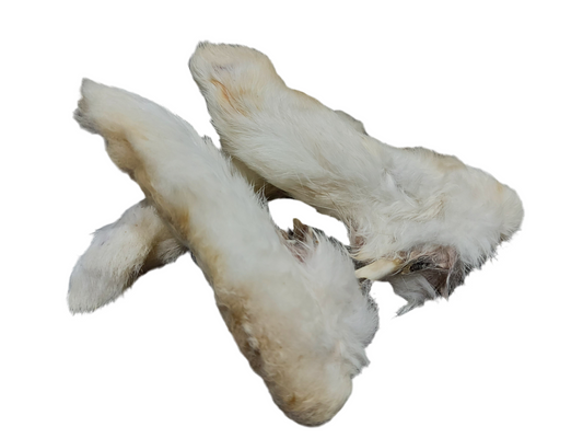 Rabbit Feet with Fur – available from Woofingtons