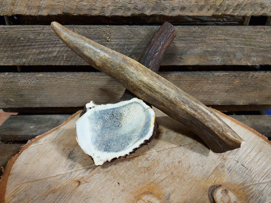 Whole Antler Chew – available from Woofingtons