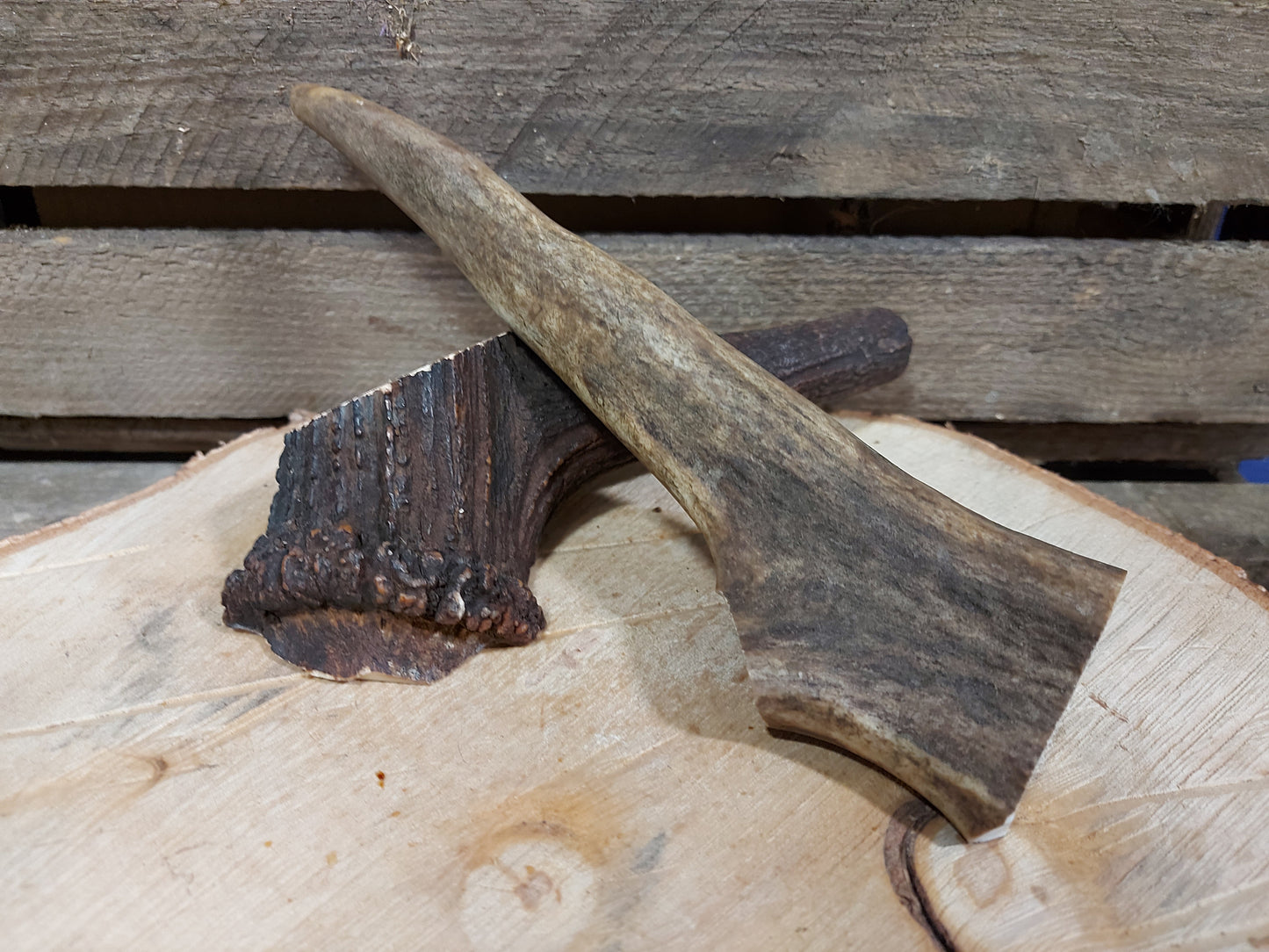 Whole Antler Chew – product image 2 from Woofingtons